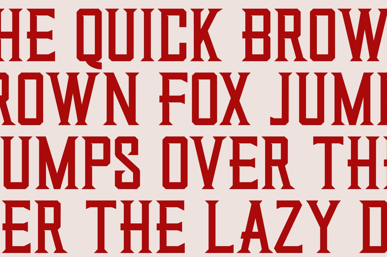 Quarters | Vintage Bold Serif — image 9