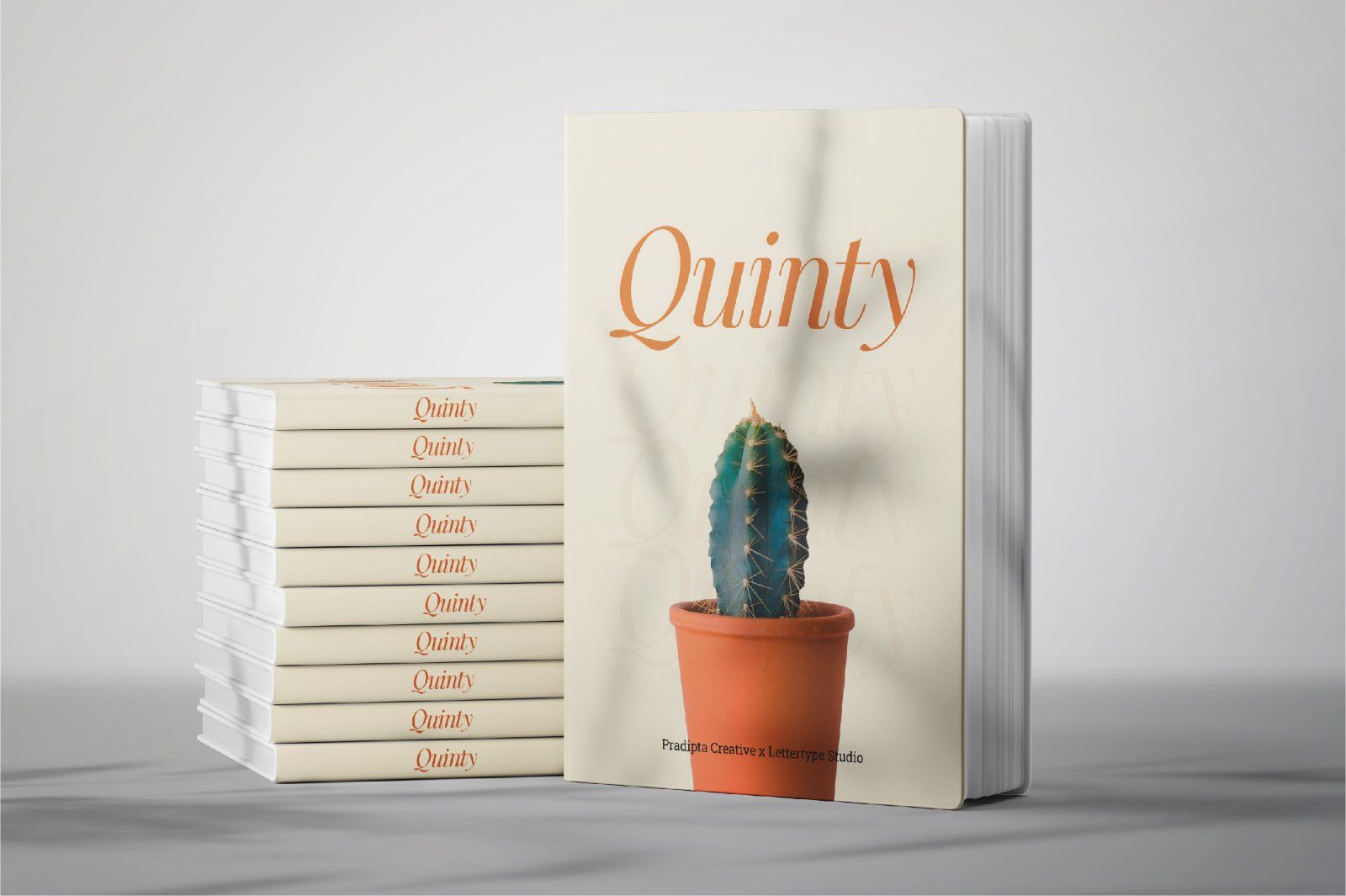 Quinty a Luxury Serif Font Family — image 3