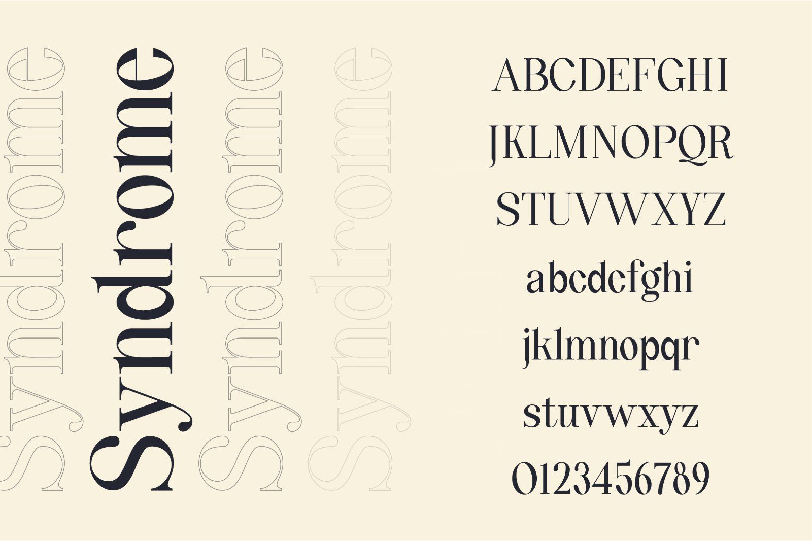 Quinty a Luxury Serif Font Family — image 6