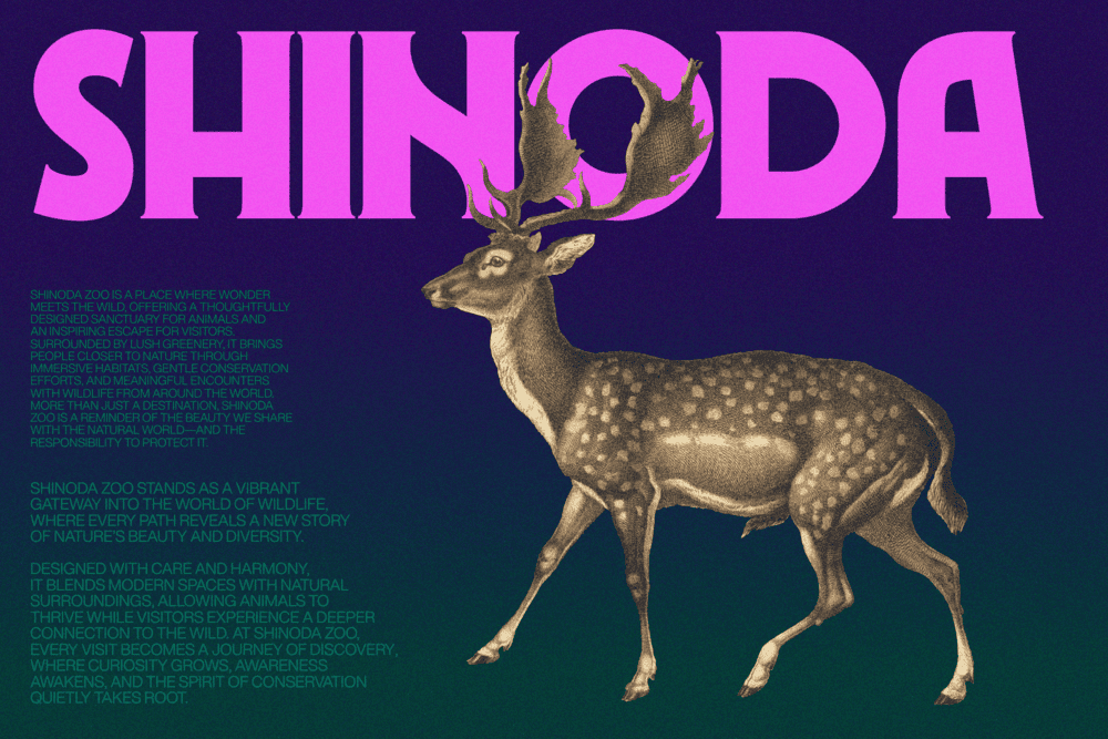 ROMIEN — Modern Classic Display Font