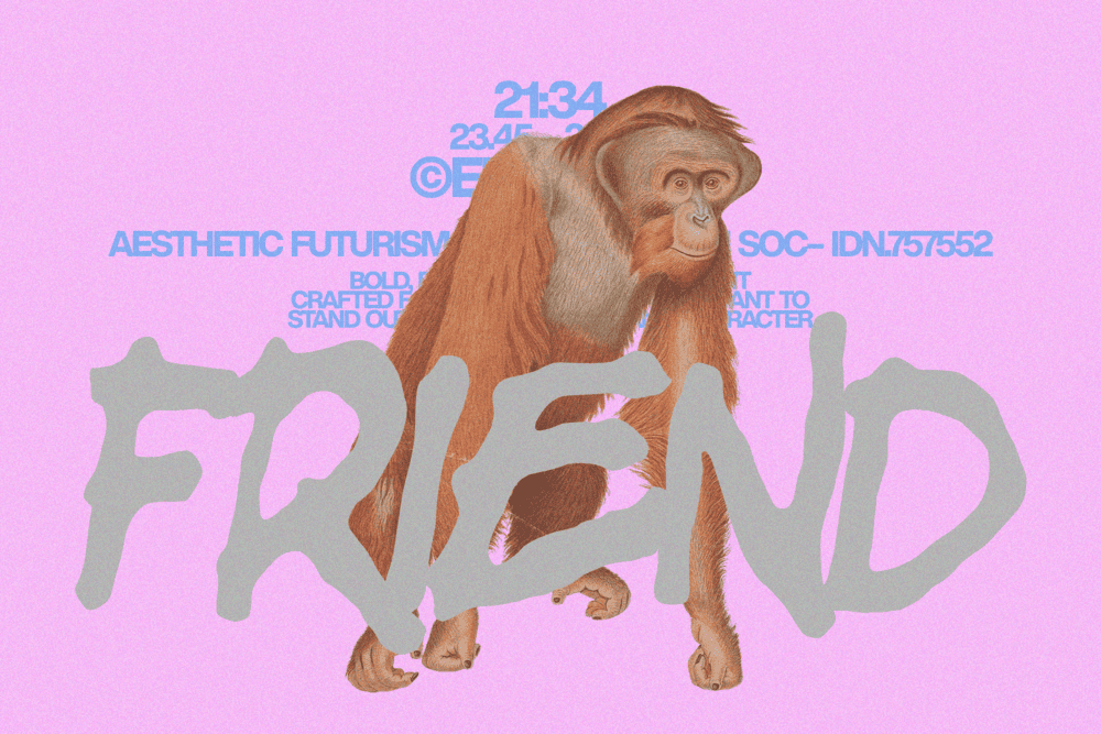 ROWNIE  — Modern Branding Font — image 2