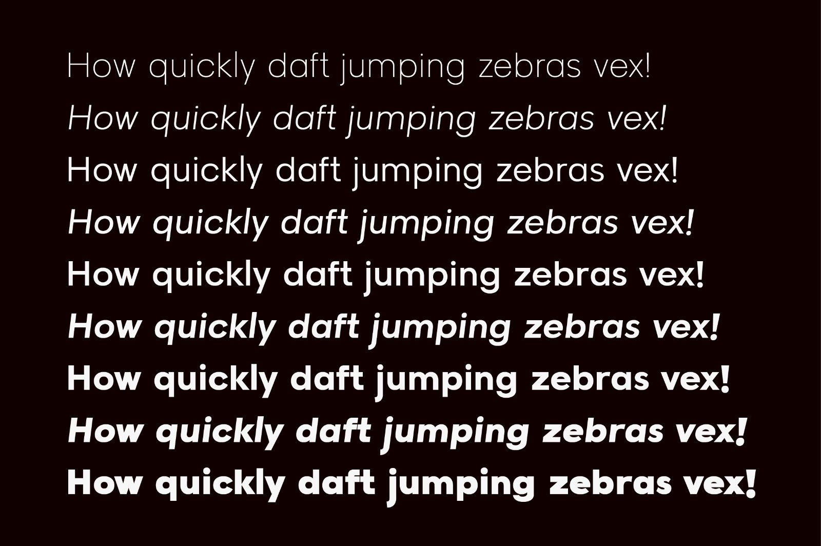 Raela Pro a Geometric Sans Serif Family — image 3
