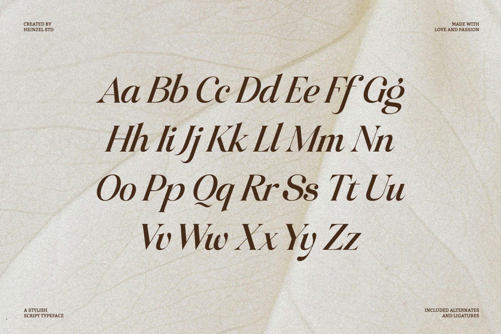Raillouise Stylish Script Font — image 13