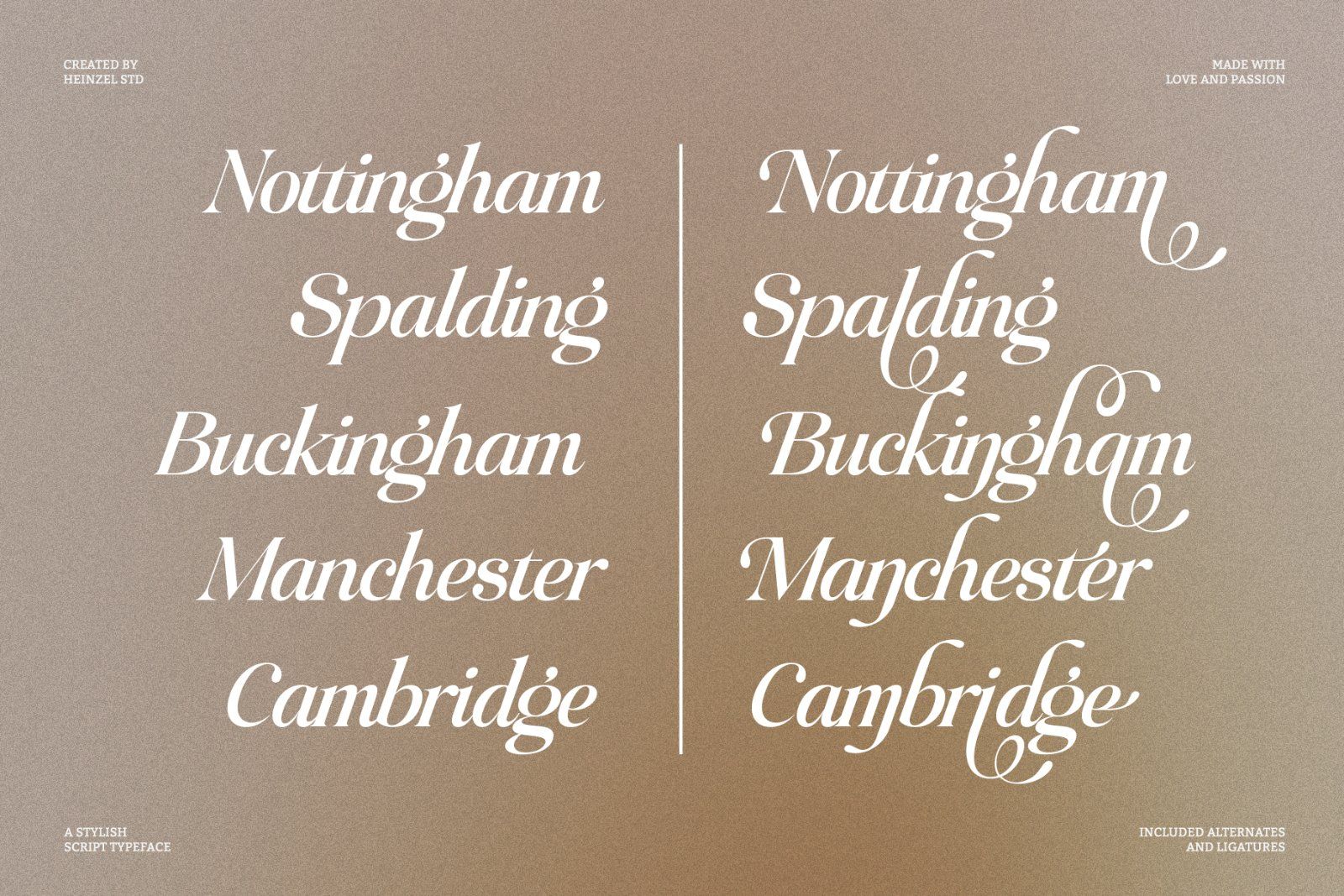 Raillouise Stylish Script Font — image 14