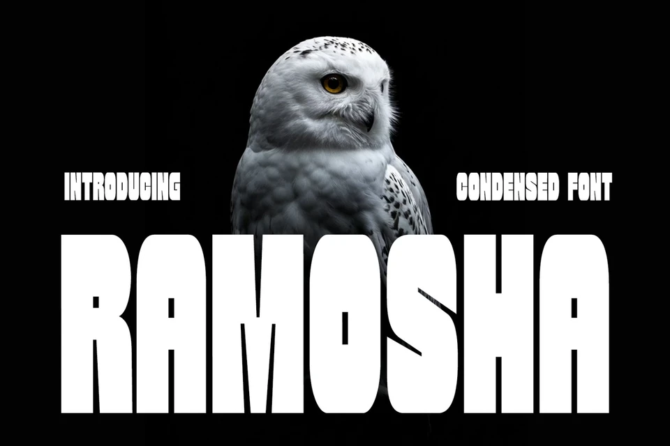 Ramosha Bold Condensed Font