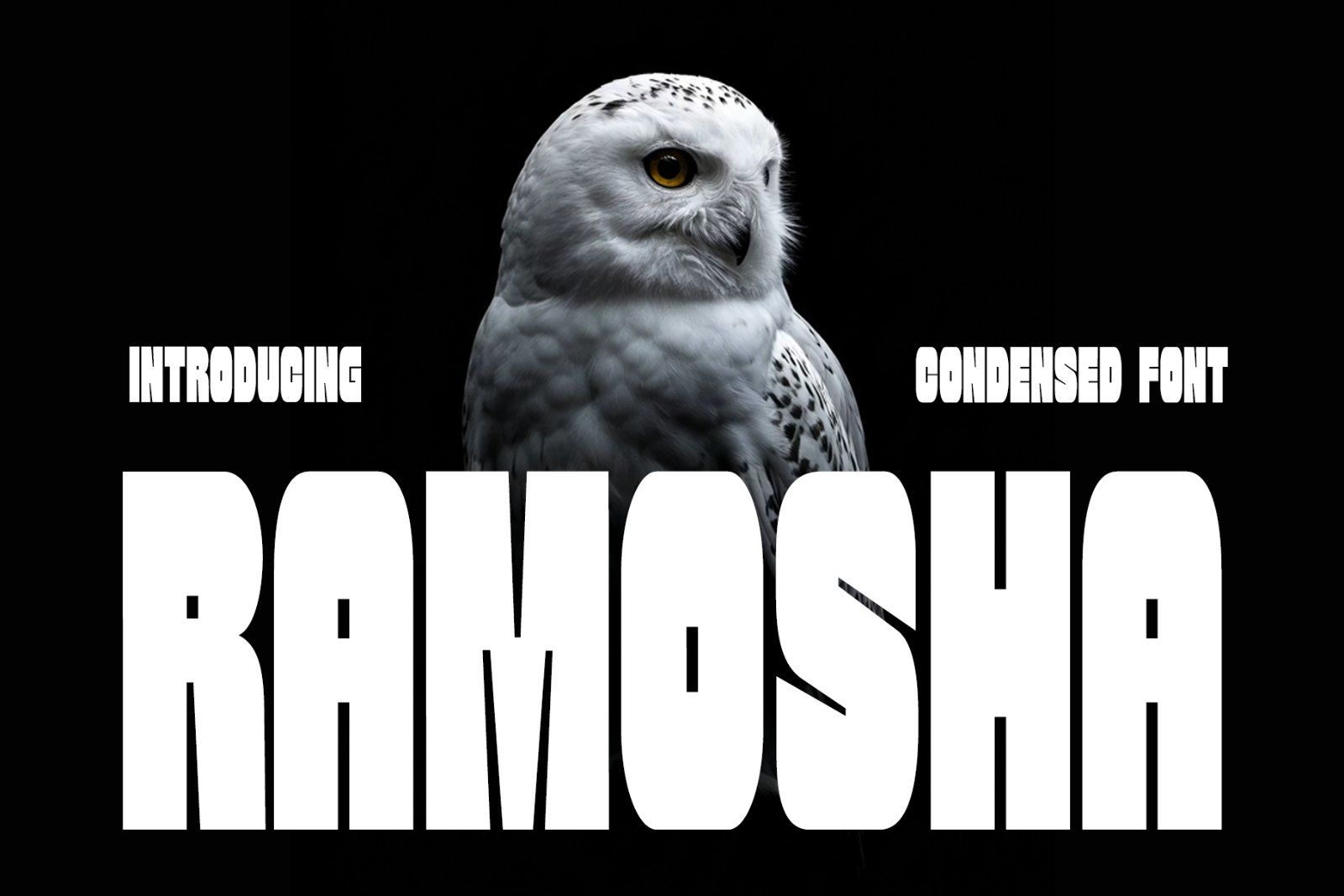 Ramosha Bold Condensed Font — image 1