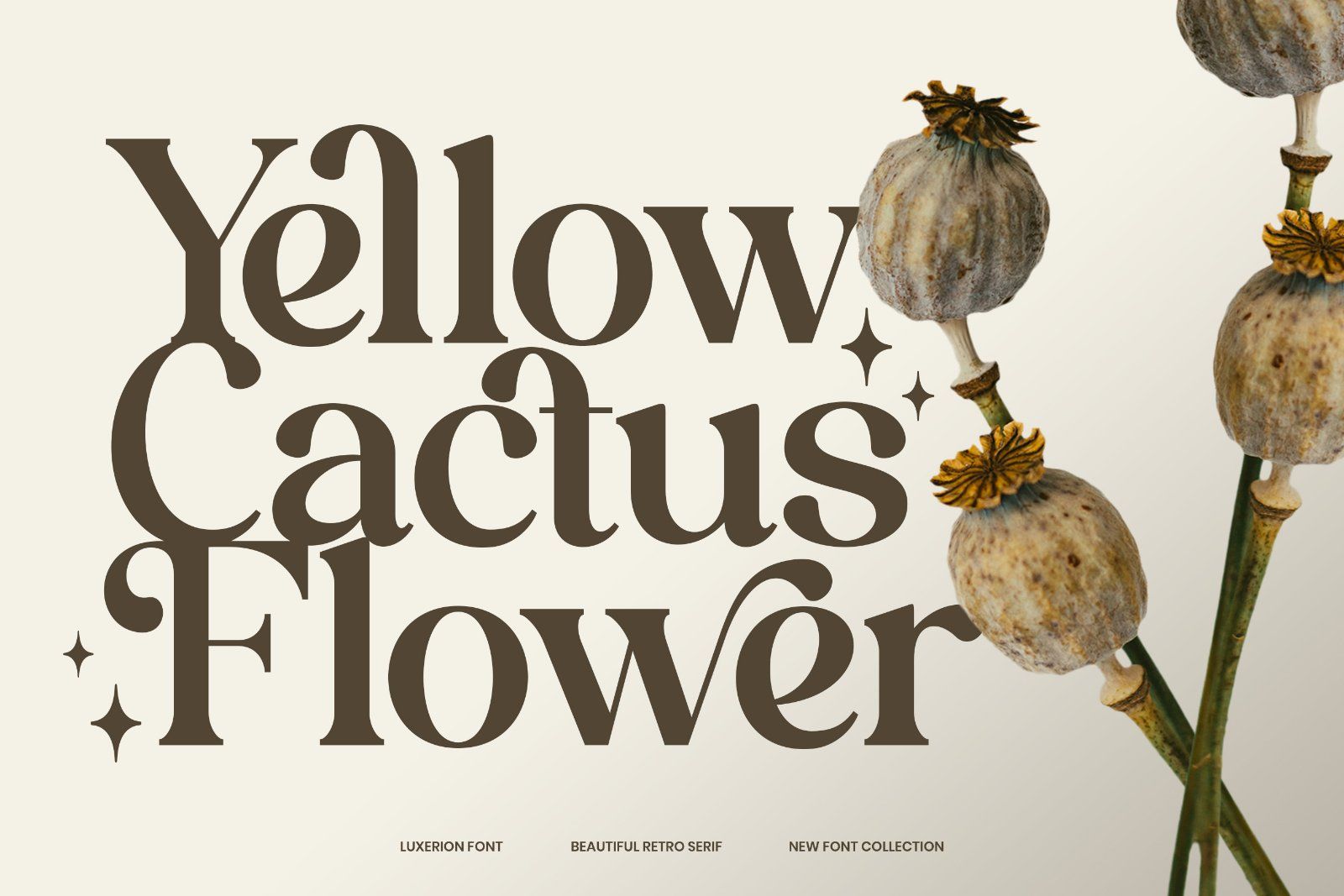 Luxerion - Beautiful Retro Serif Font — image 5