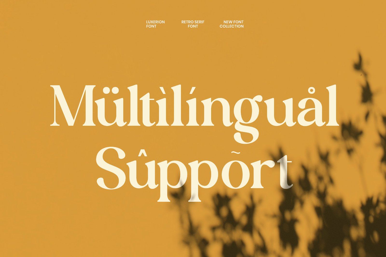 Luxerion - Beautiful Retro Serif Font — image 10