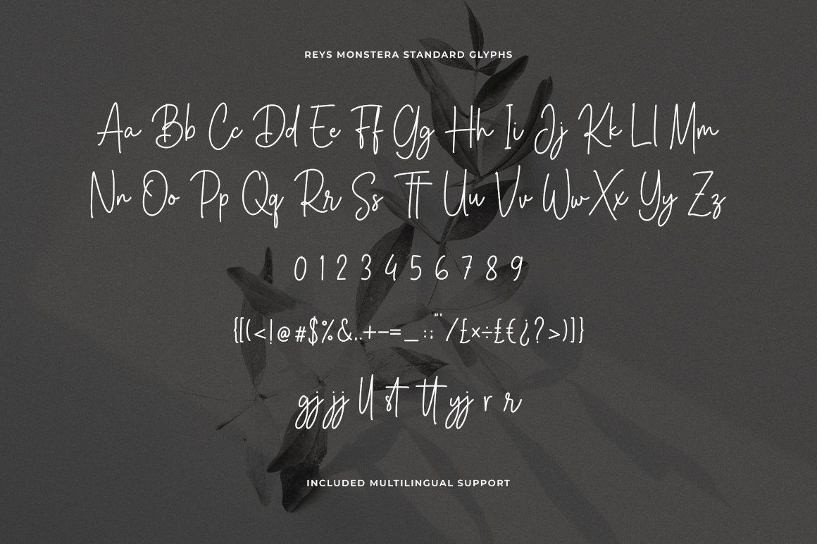 Reys Monstera Signature Script Font — image 12