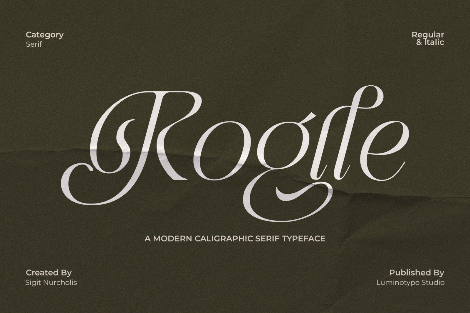 LT Rogile - Modern Serif Typeface — image 1