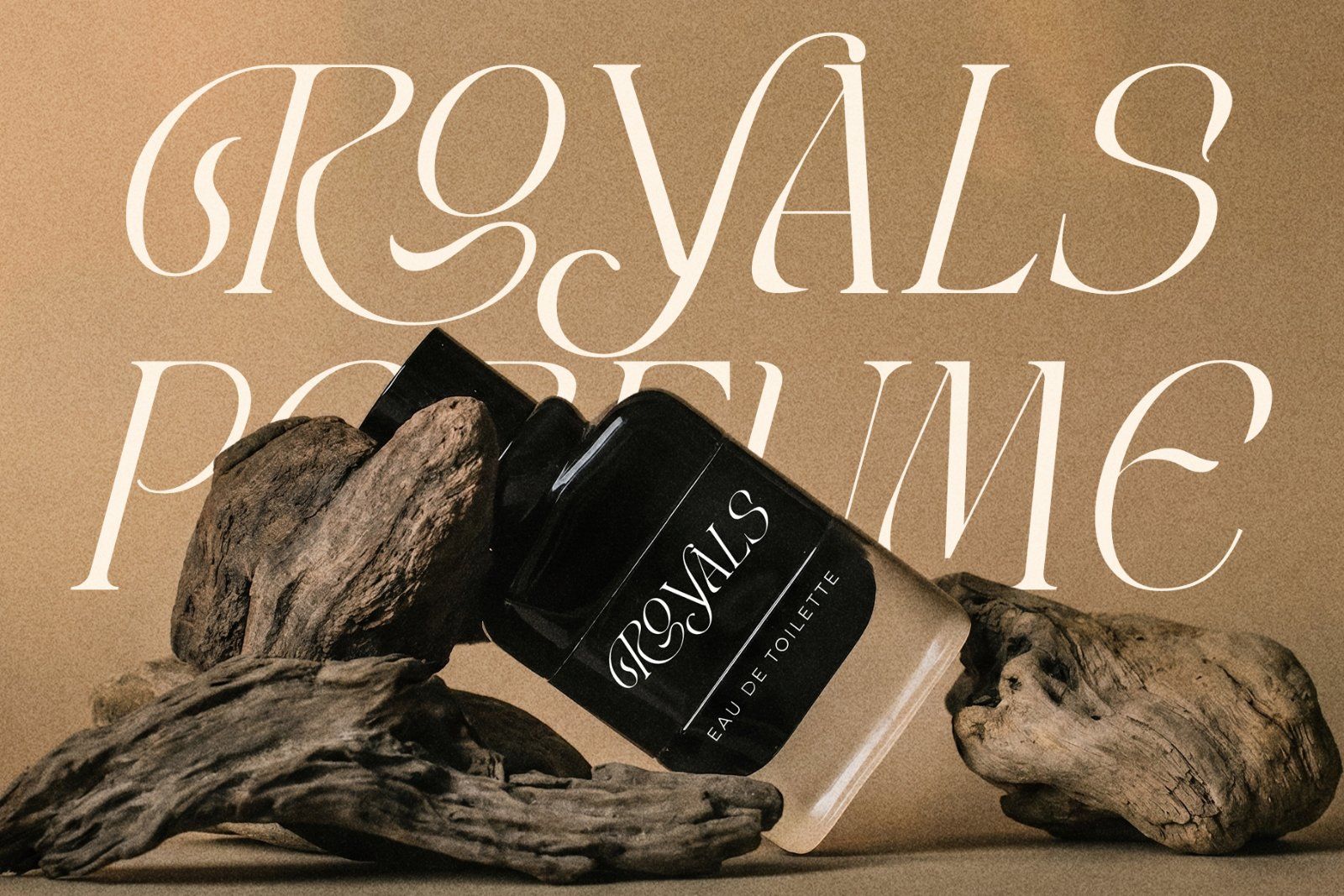 LT Rogile - Modern Serif Typeface — image 10