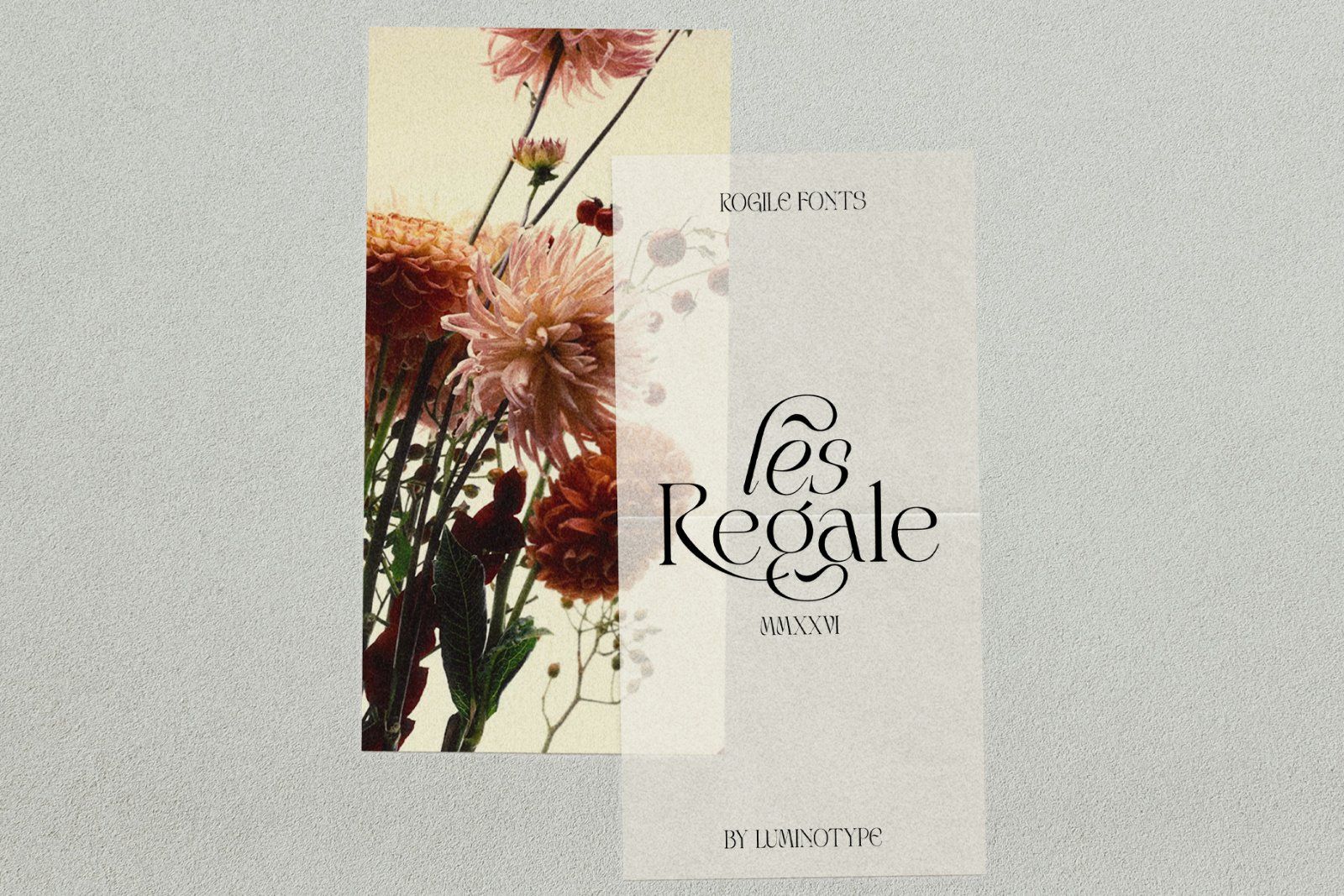 LT Rogile - Modern Serif Typeface — image 11