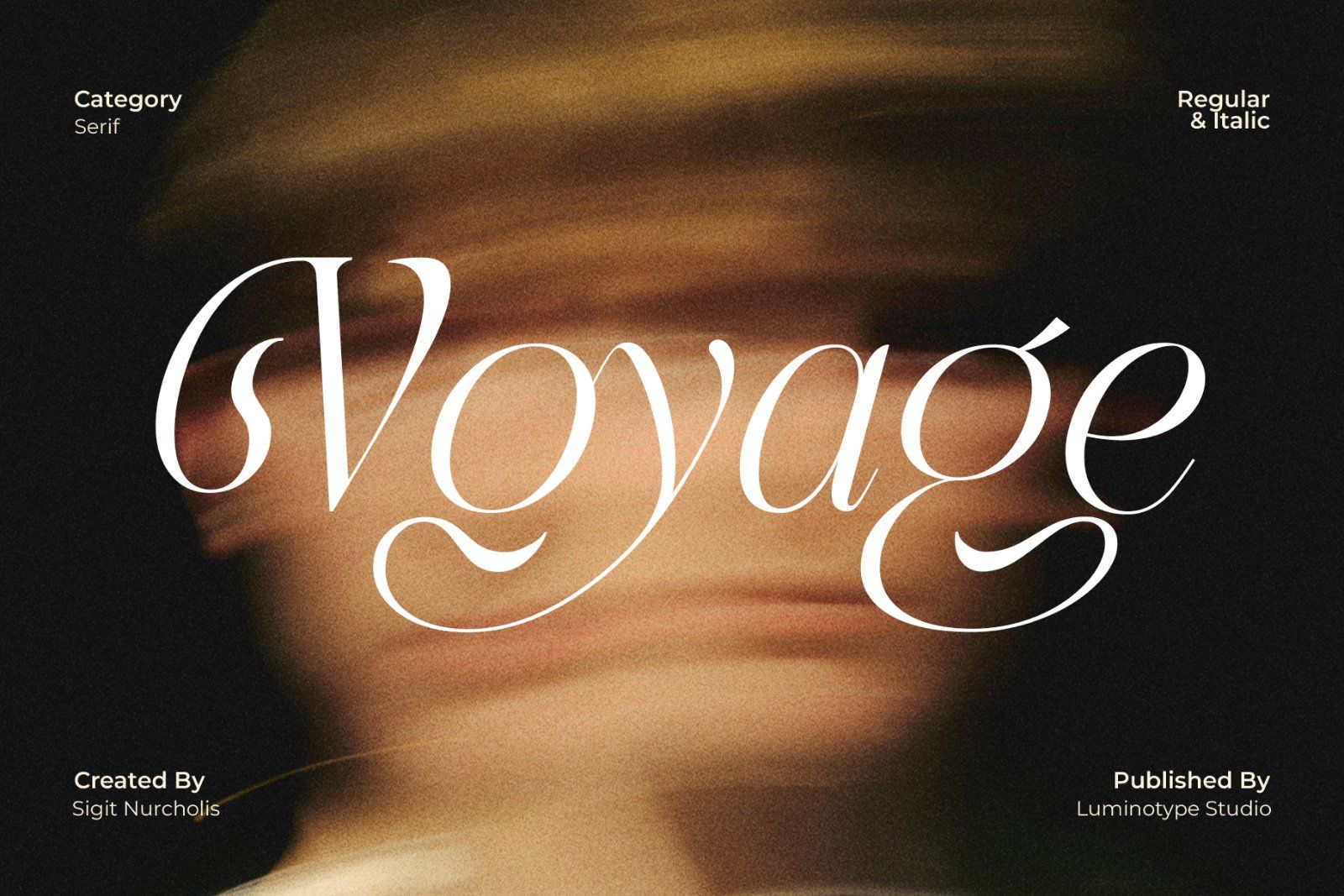 LT Rogile - Modern Serif Typeface — image 13