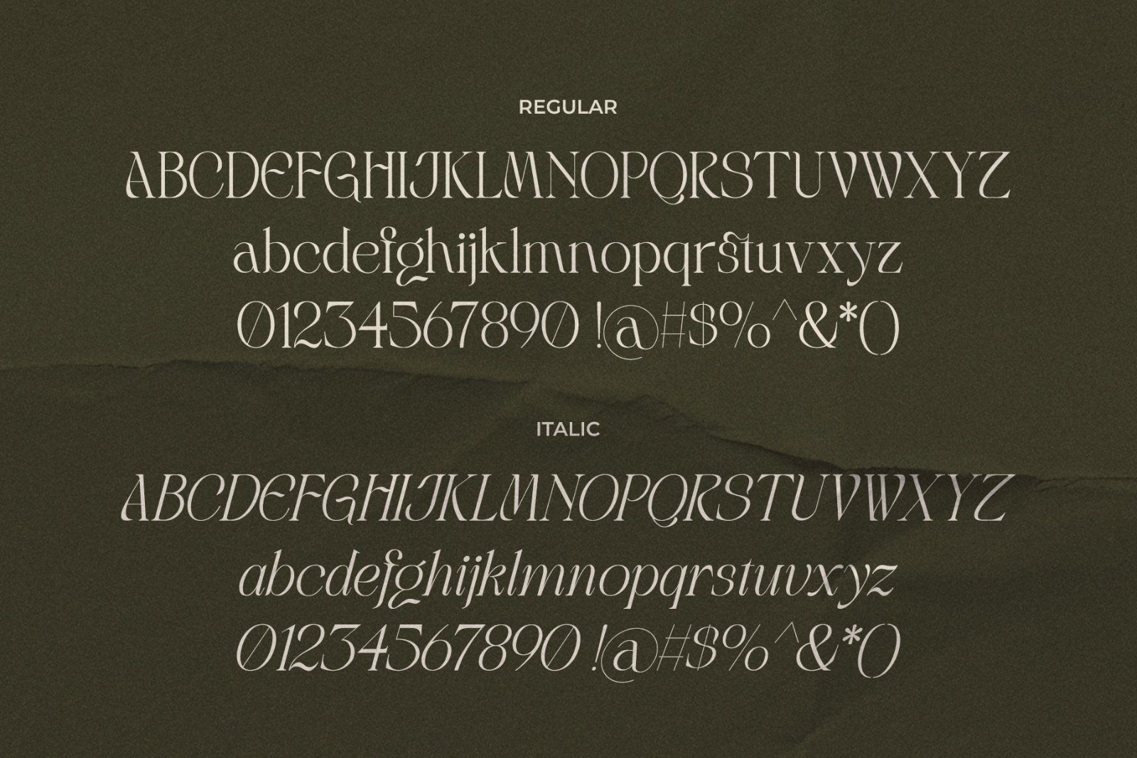 LT Rogile - Modern Serif Typeface — image 16