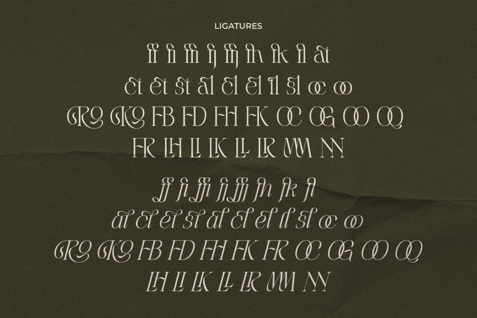 LT Rogile - Modern Serif Typeface — image 17