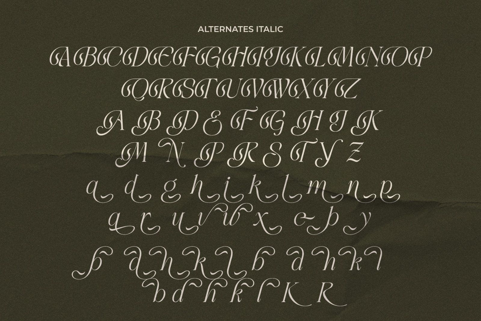 LT Rogile - Modern Serif Typeface — image 19