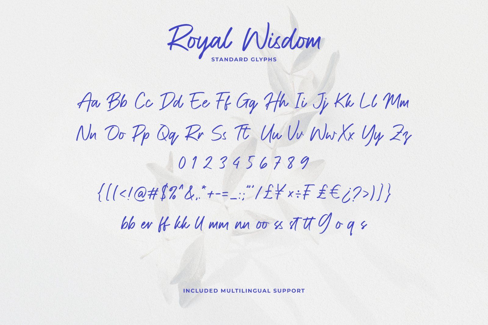 Royal Wisdom Modern Script Font — image 12