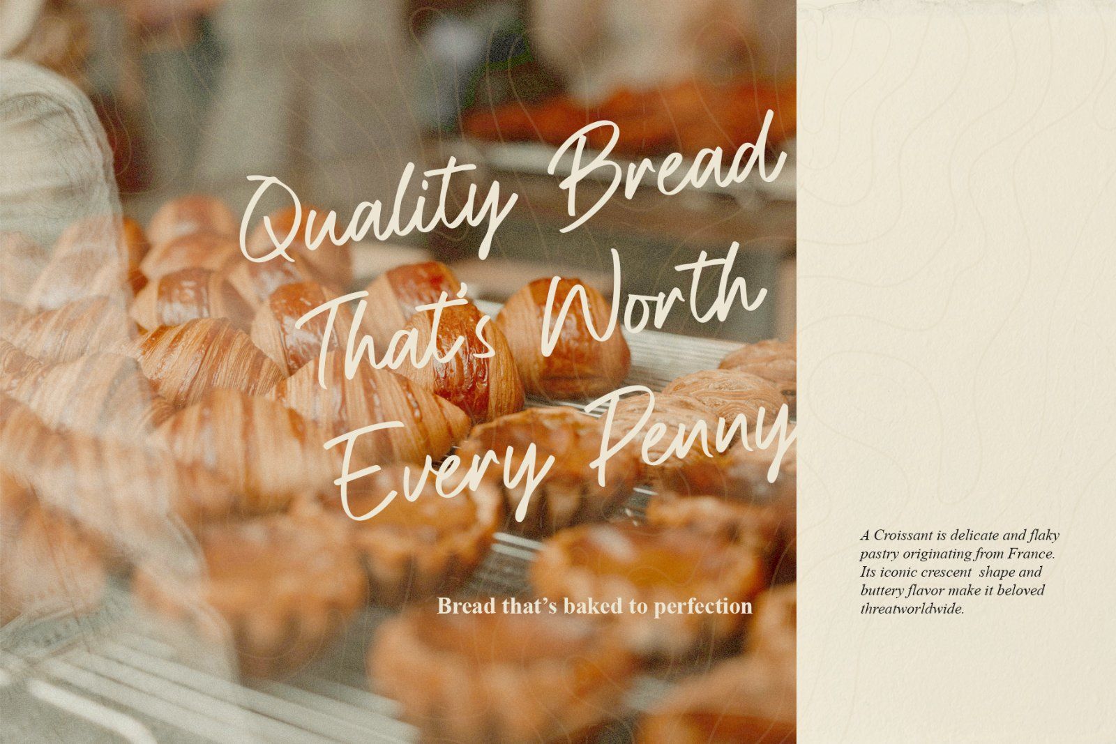 Royal Wisdom Modern Script Font — image 4