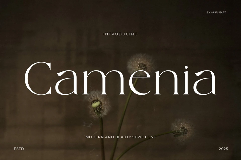 Camenia - Modern & Beauty Serif