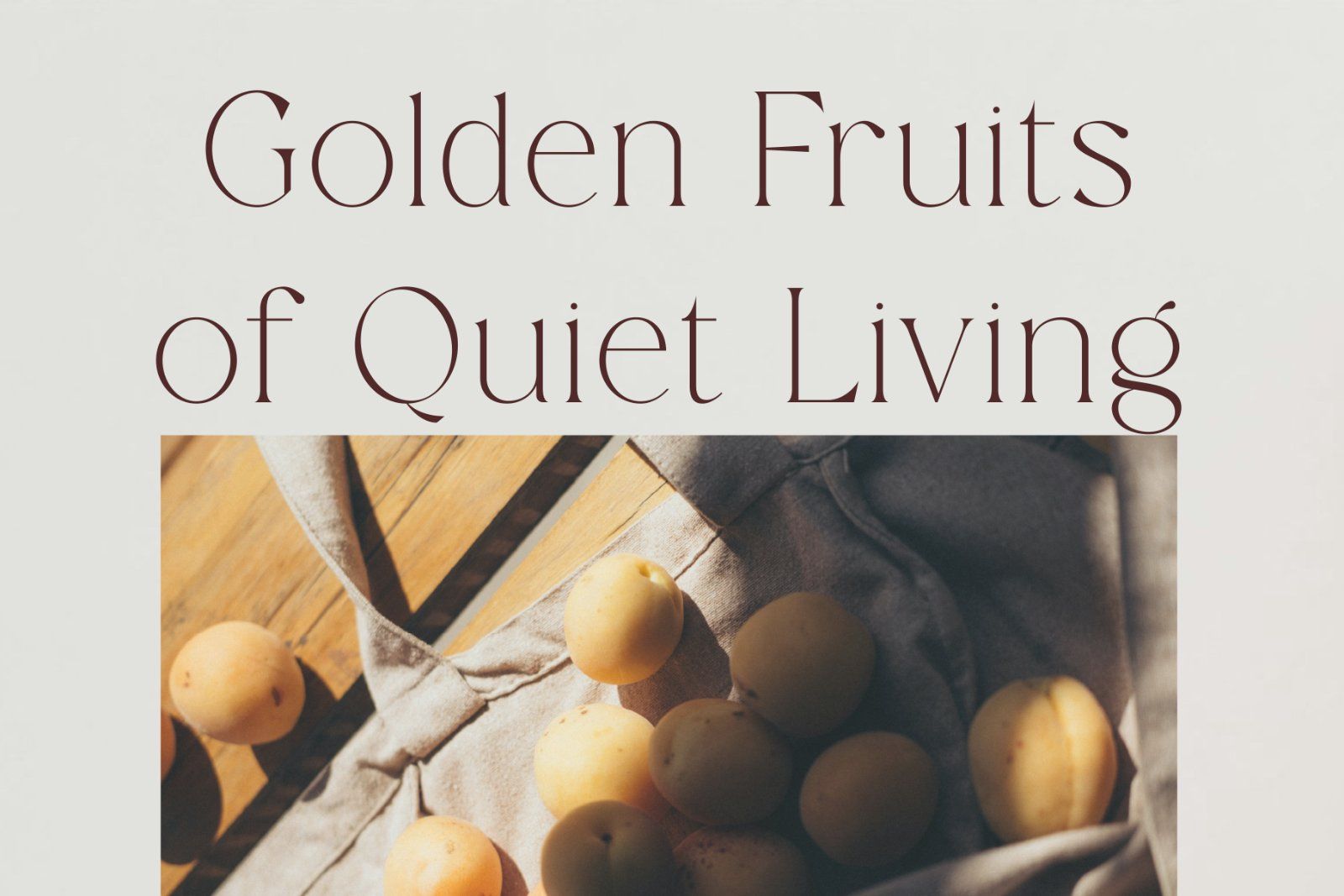 Remore | Modern And Elegant Serif