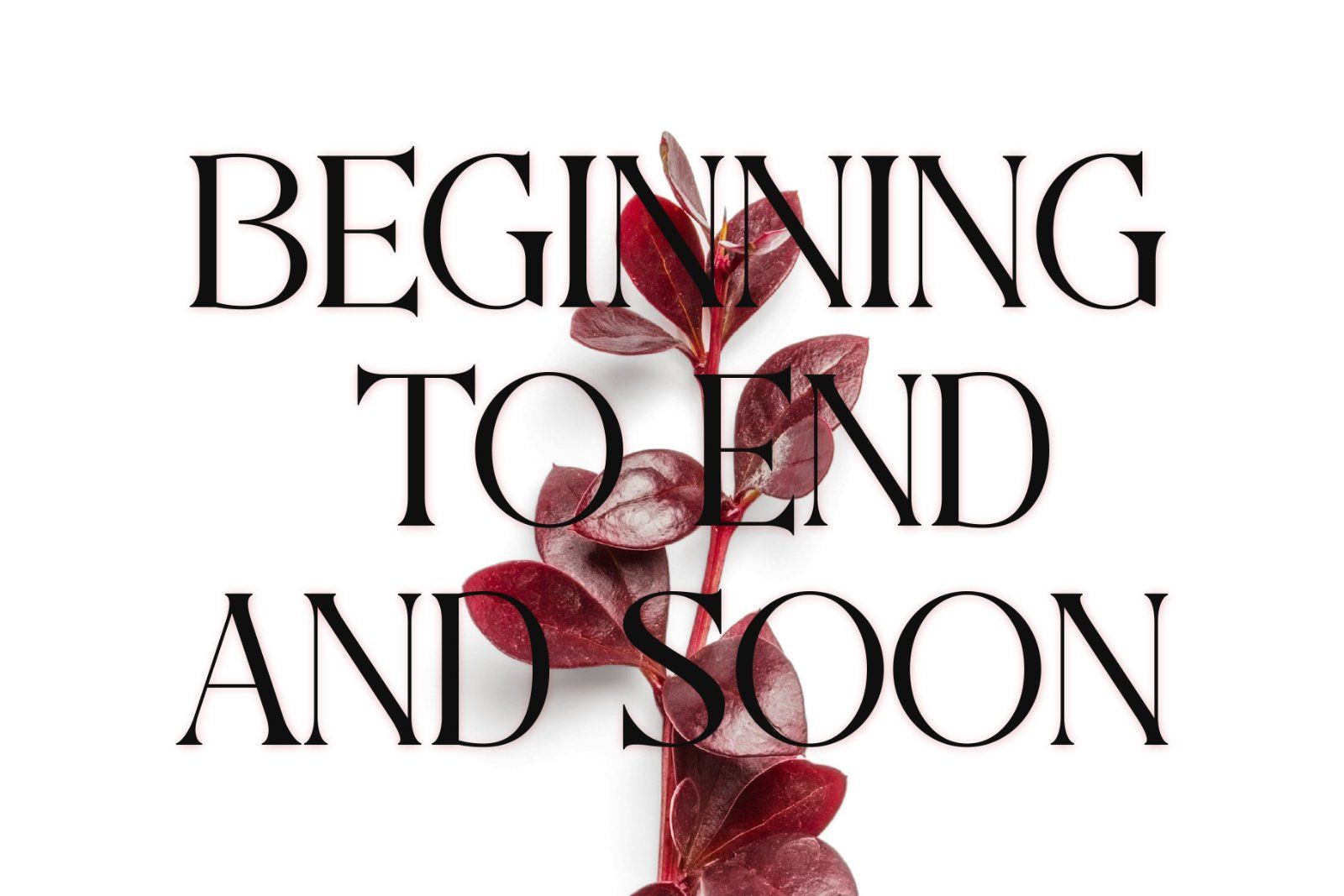 Aweshome Starthen - Modern & Beauty Serif