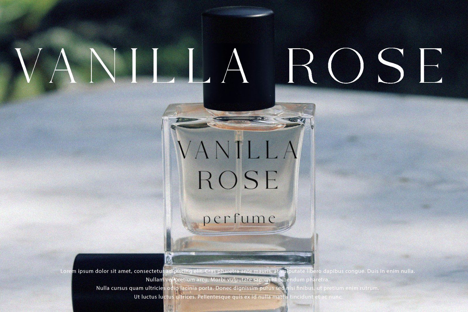 Camenia - Modern & Beauty Serif