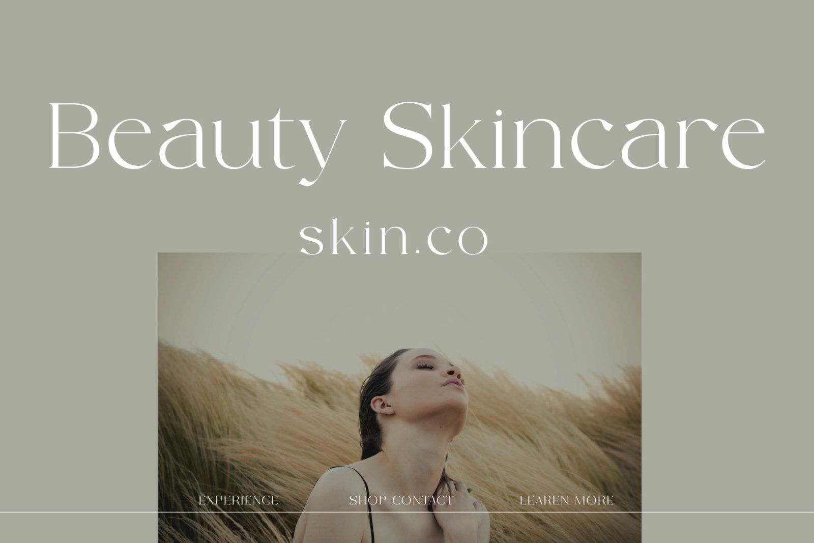 Camenia - Modern & Beauty Serif