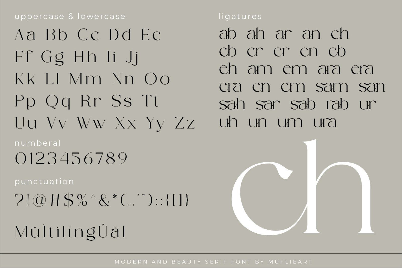 Camenia - Modern & Beauty Serif