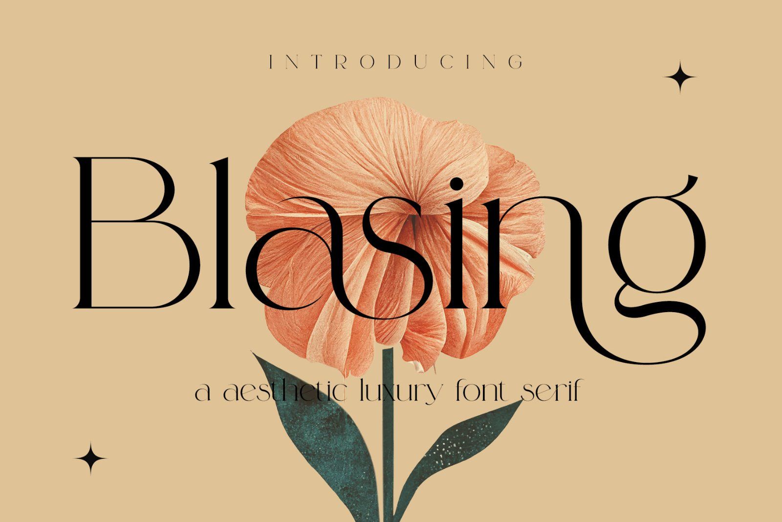 Blasing Aesthetic Serif Font