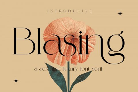 Blasing Aesthetic Serif Font