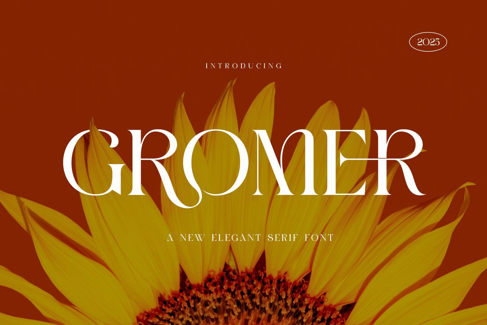 GROMER Elegant Ligature Serif