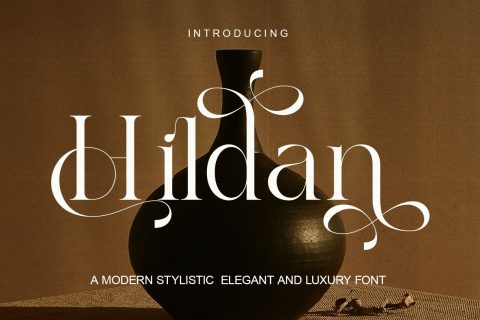 Hildan Modern Ligature Serif