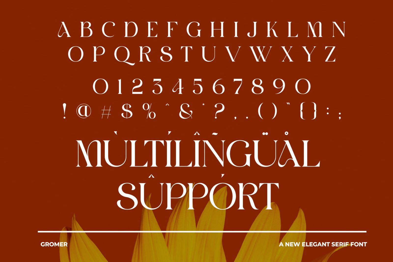 GROMER Elegant Ligature Serif