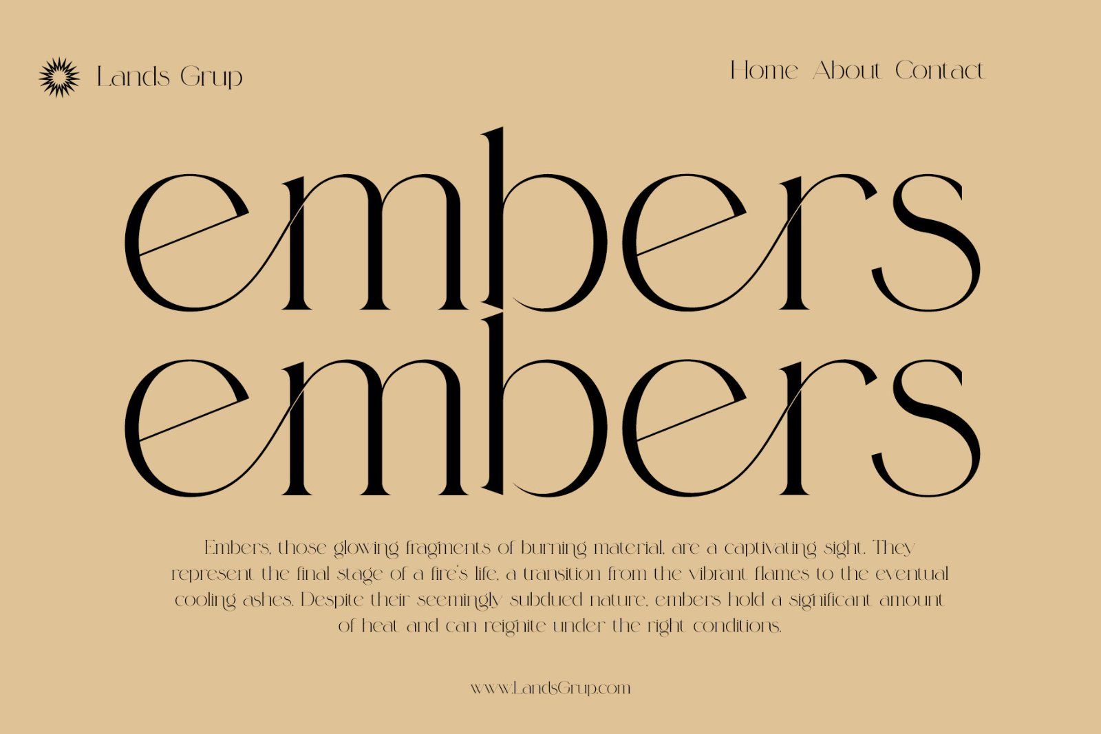 Blasing Aesthetic Serif Font