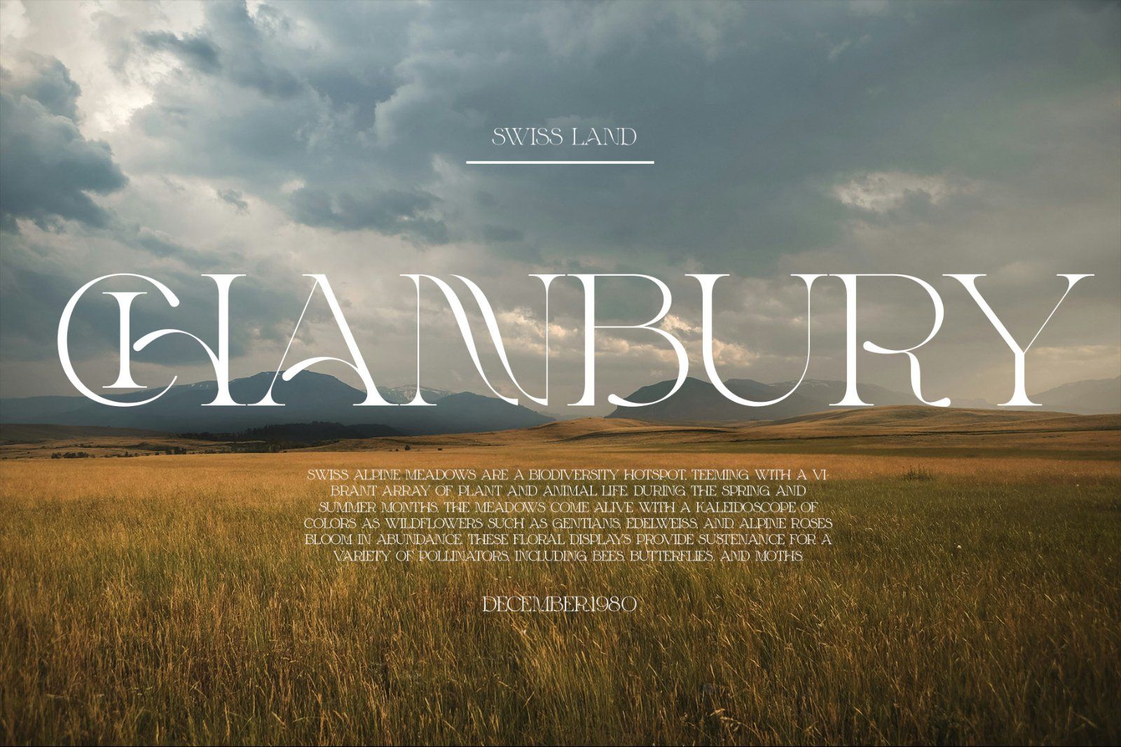 MONNIC Unique Display Serif