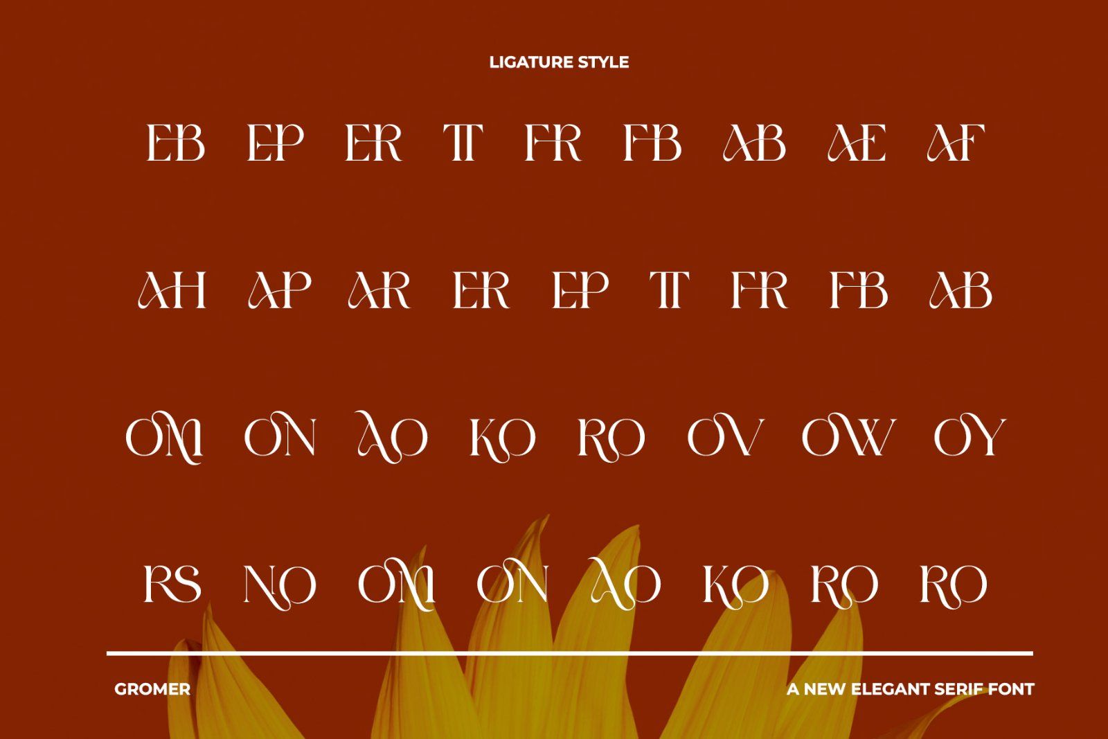 GROMER Elegant Ligature Serif