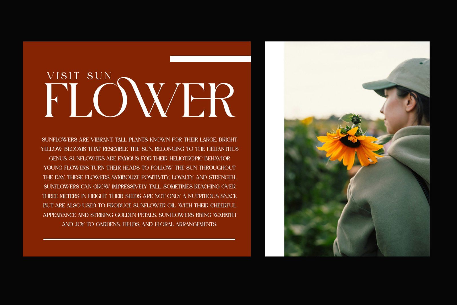 GROMER Elegant Ligature Serif