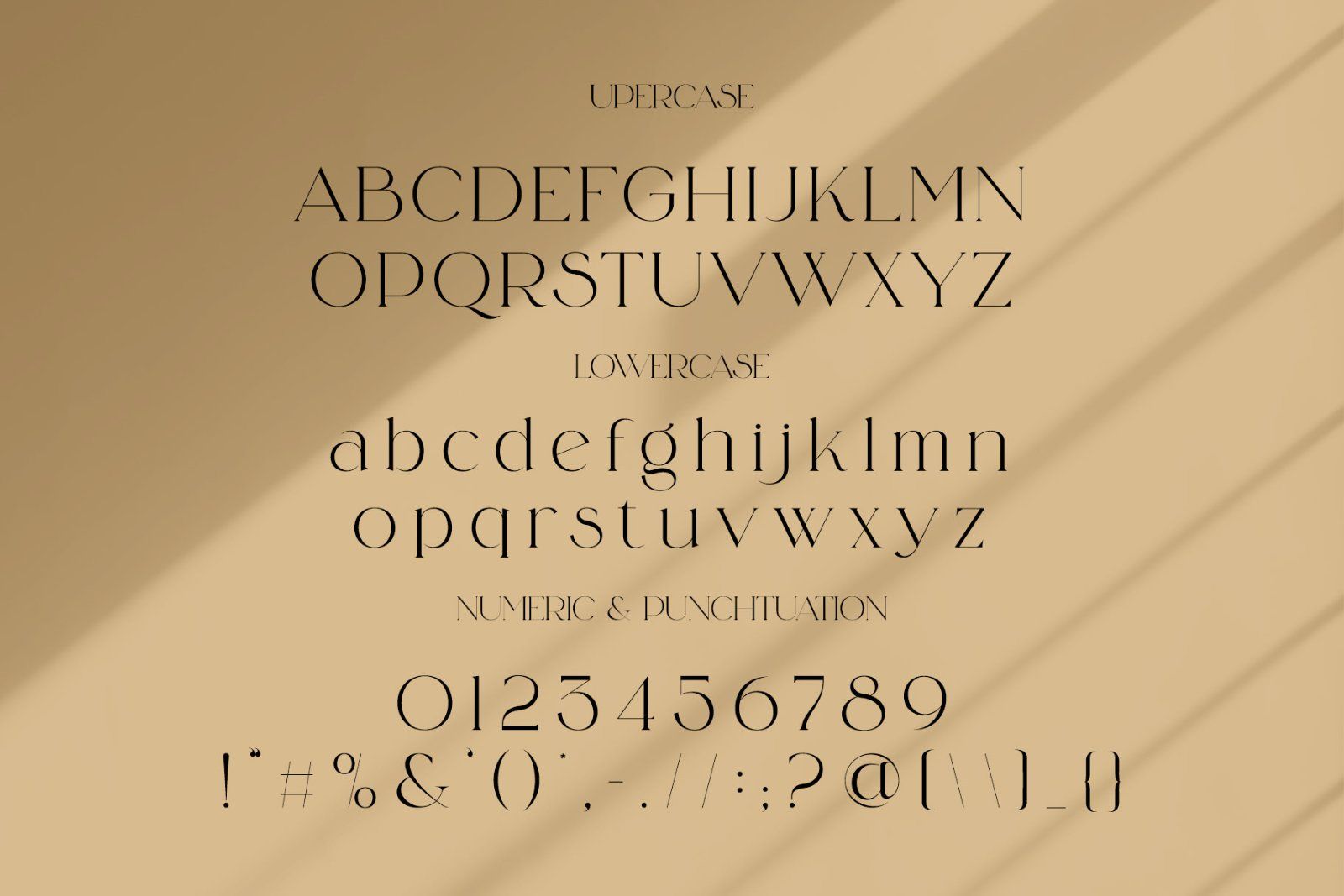 Blasing Aesthetic Serif Font