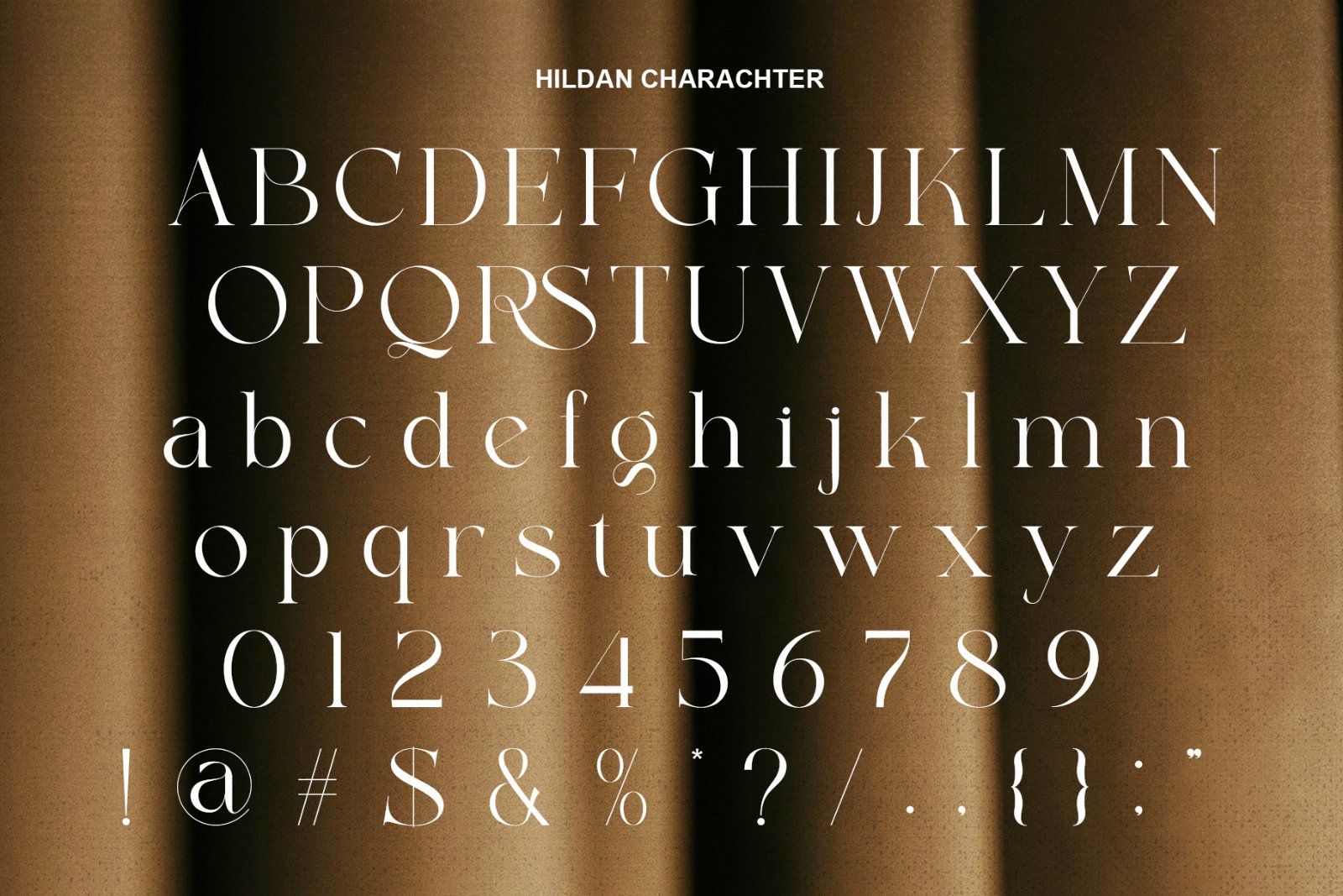 Hildan Modern Ligature Serif