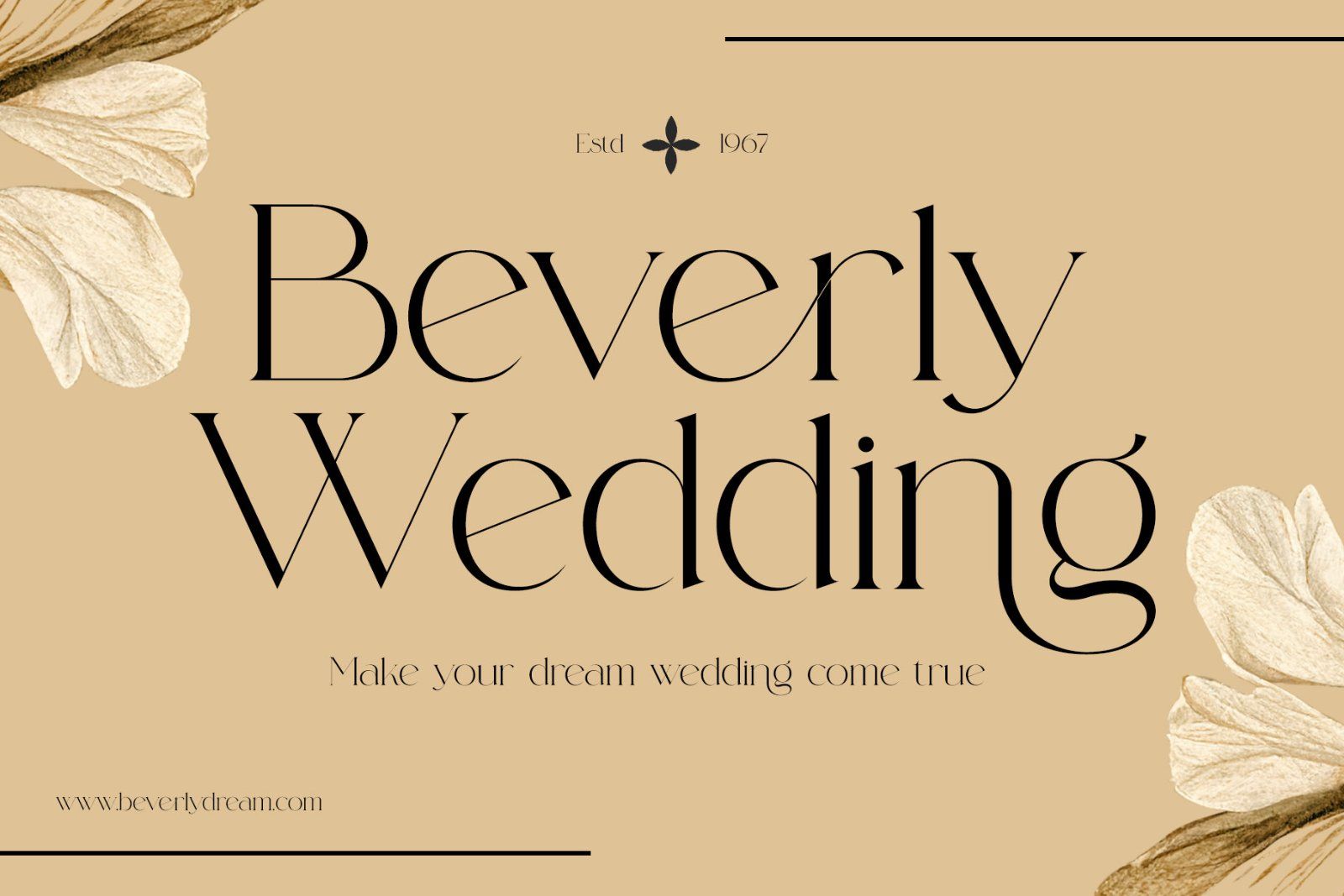 Blasing Aesthetic Serif Font