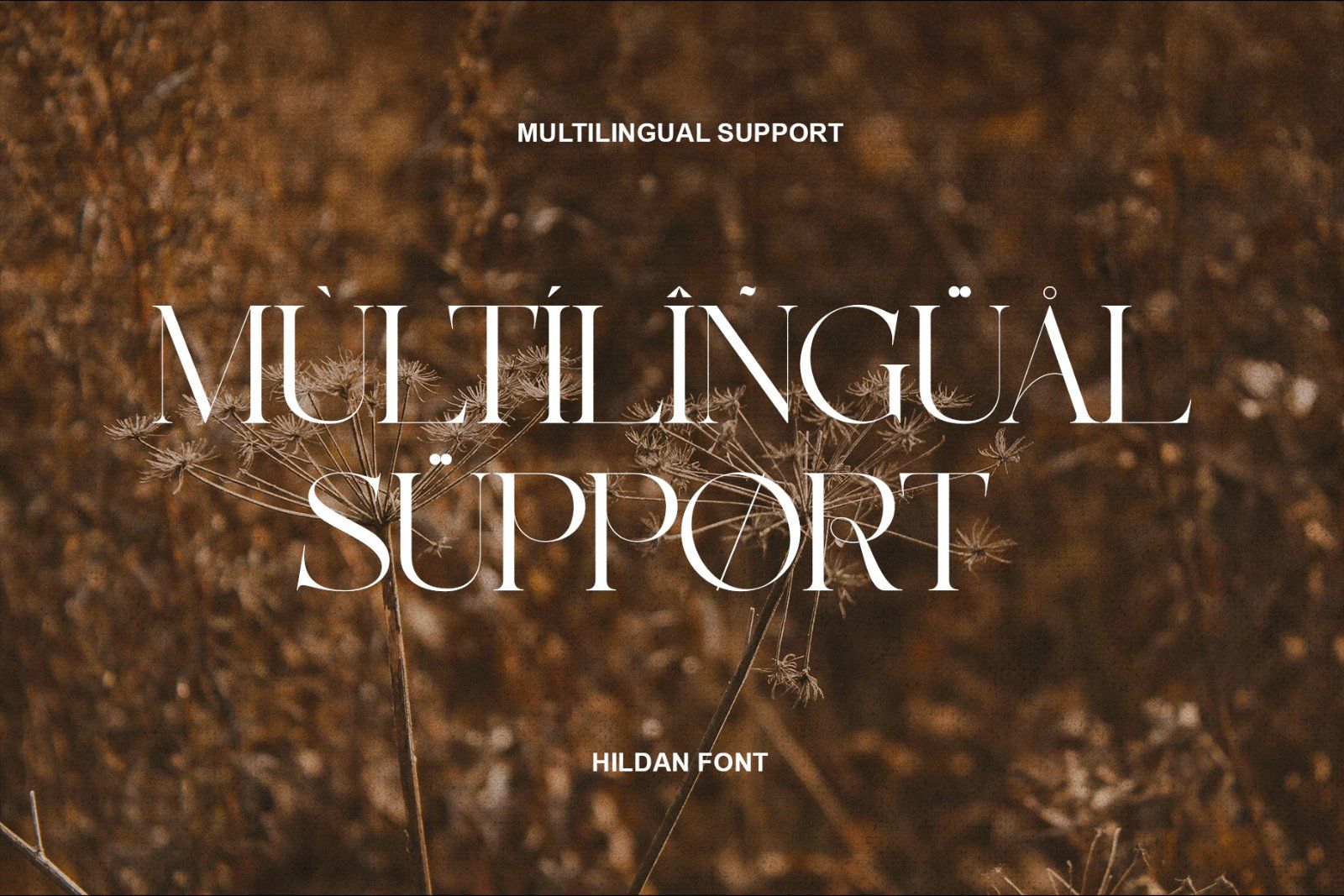 Hildan Modern Ligature Serif