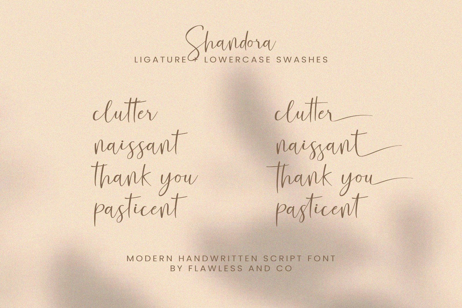 Shandora - Modern Handwritten Font — image 9