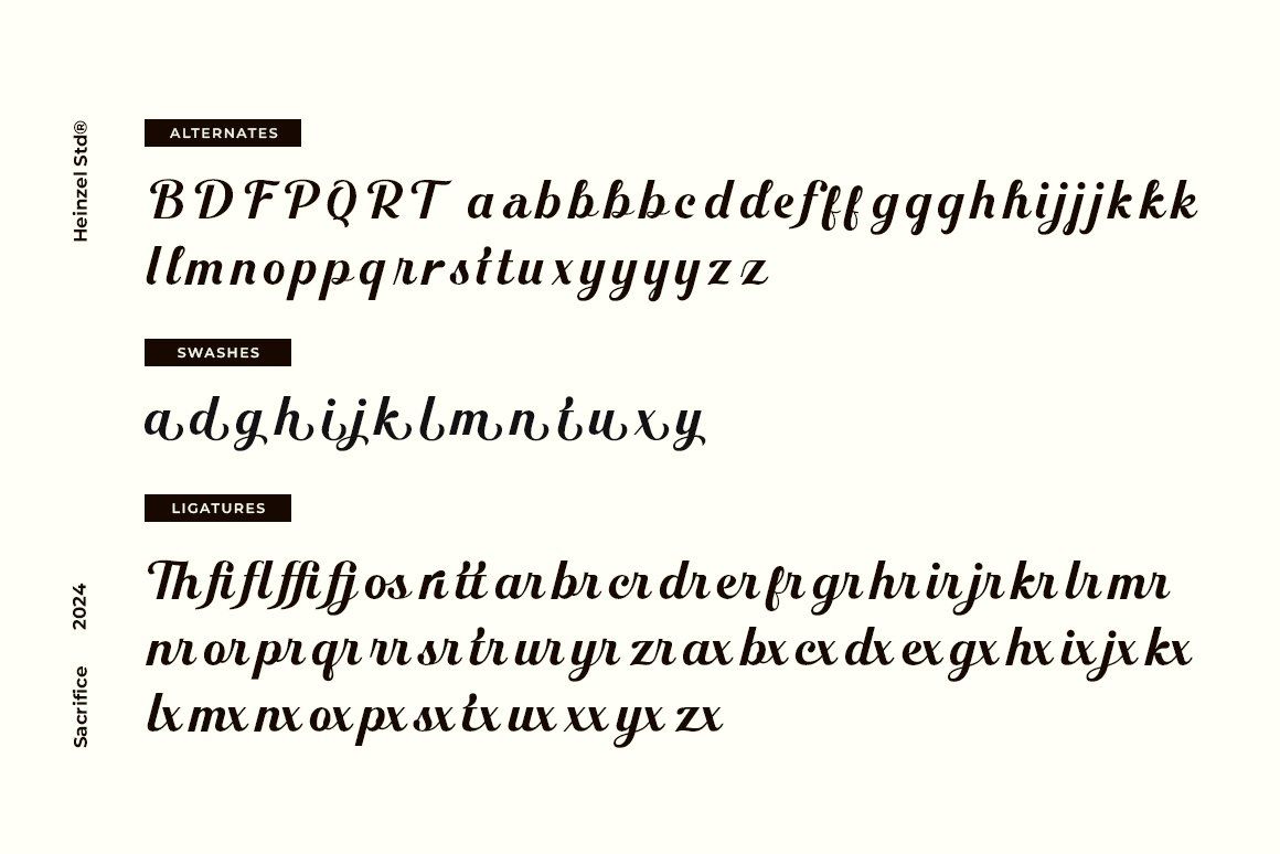Sacrifice Modern Retro Script Font — image 13