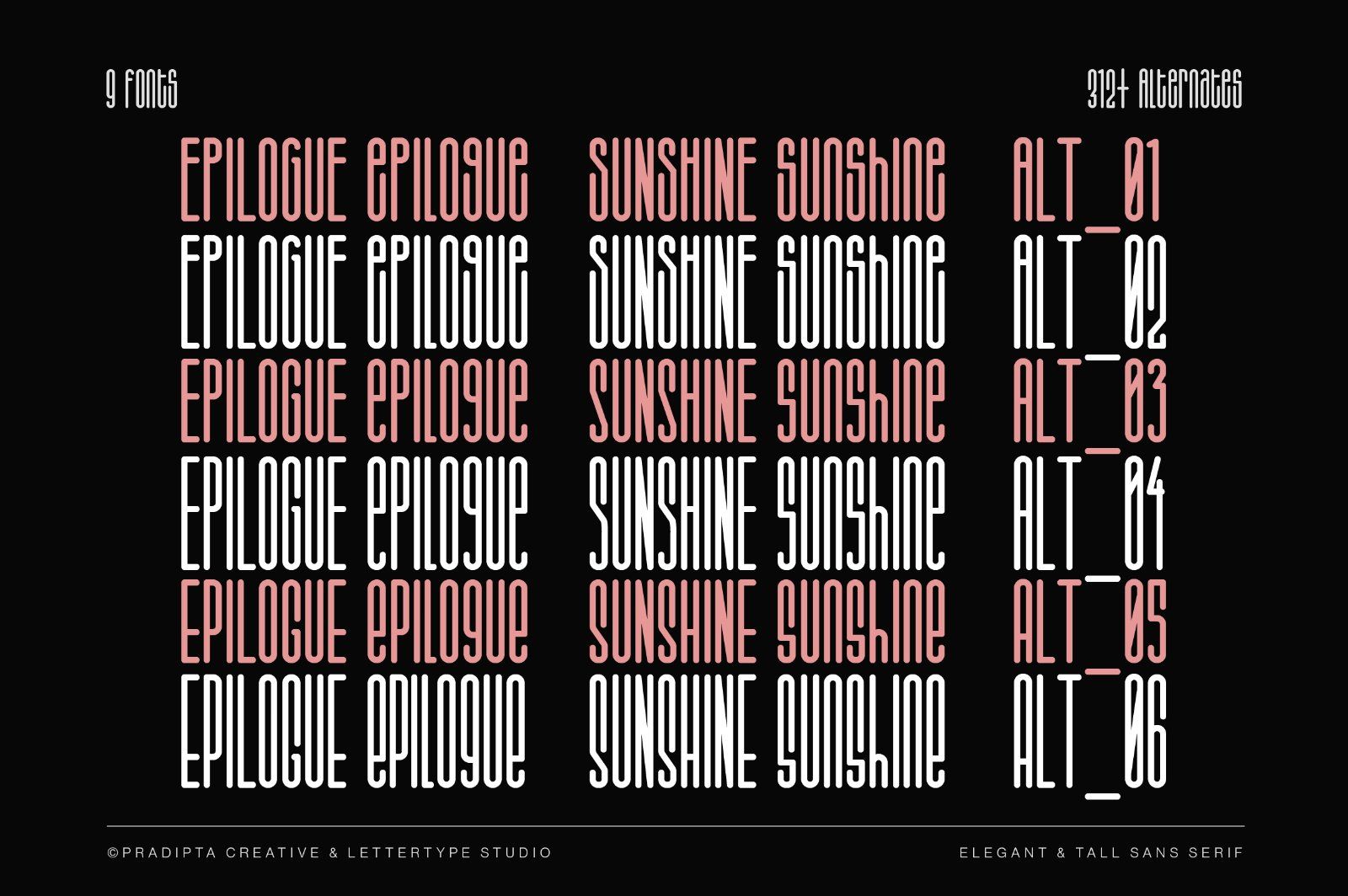Salvegy Elegant & Tall Sans Serif — image 3