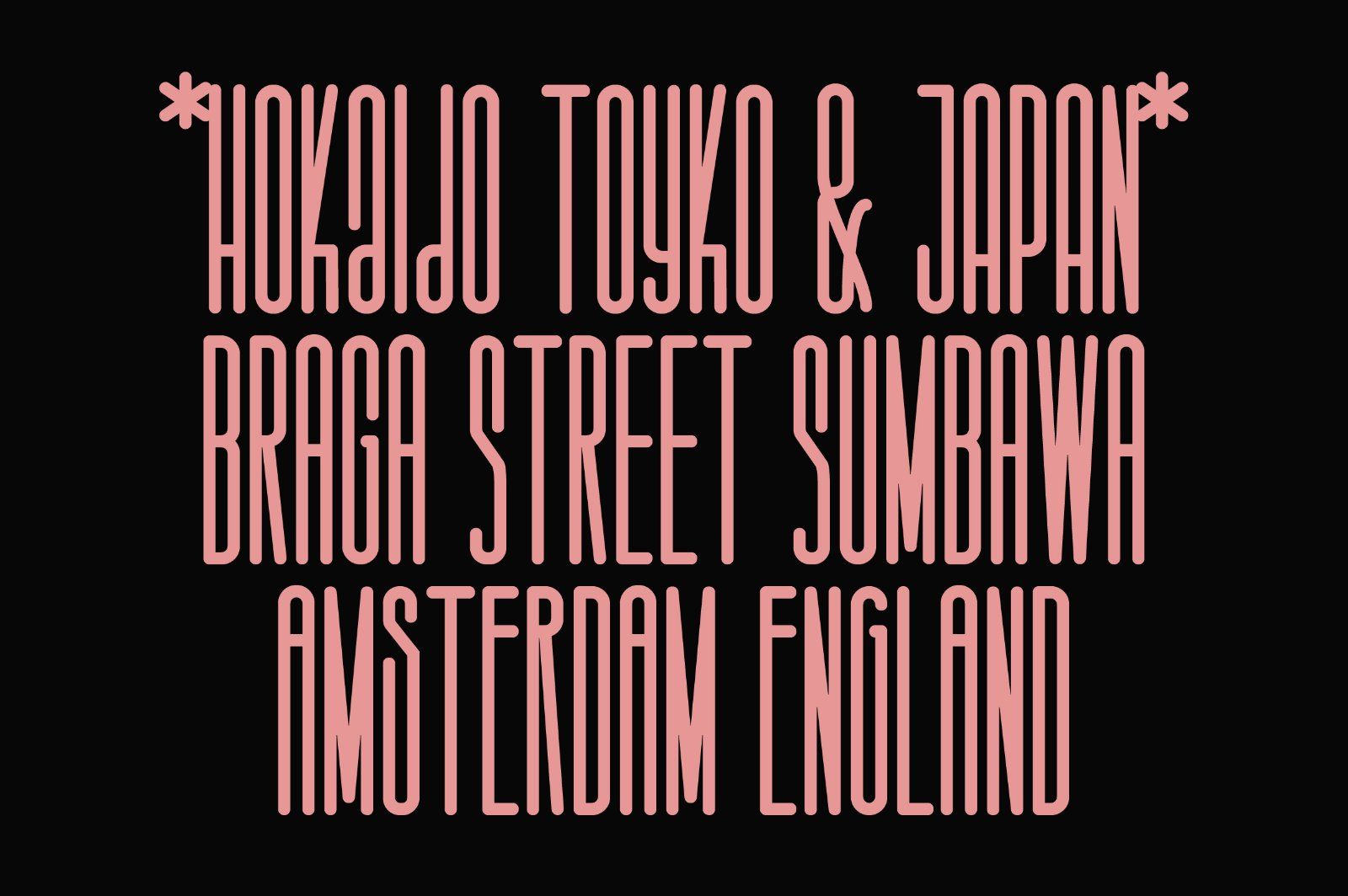 Salvegy Elegant & Tall Sans Serif — image 5