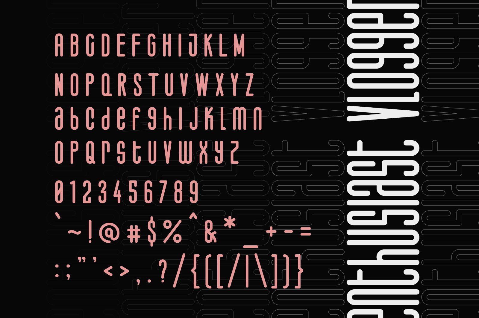 Salvegy Elegant & Tall Sans Serif — image 6