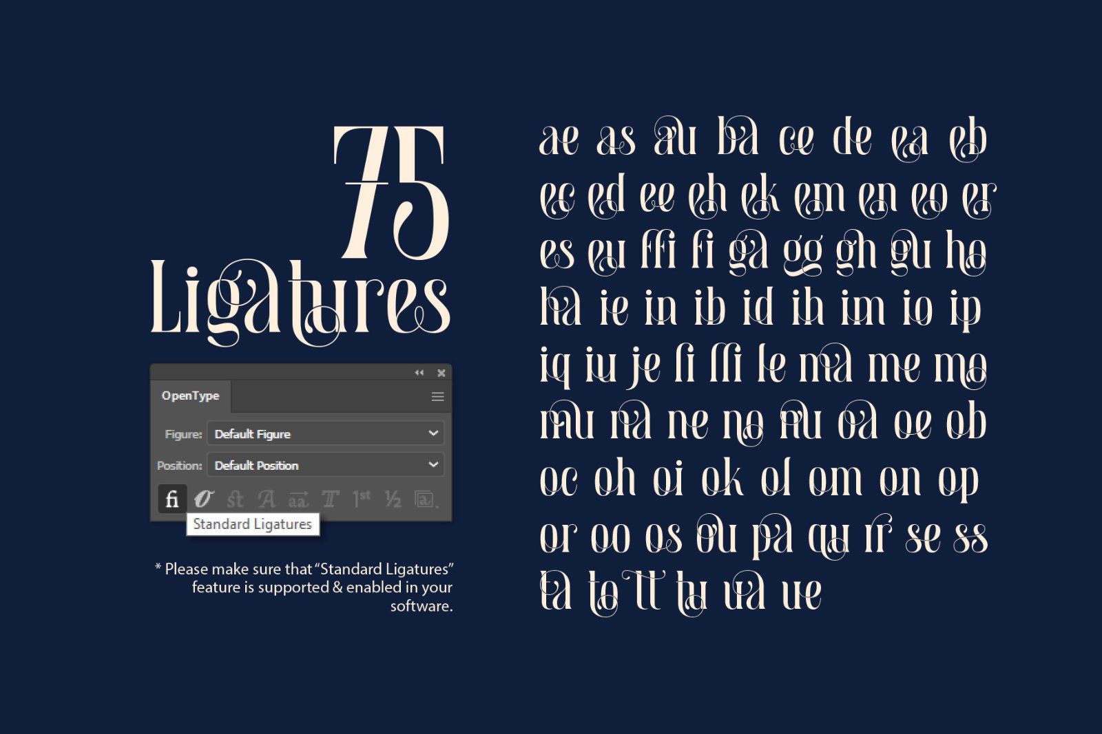 Aquatory Serif Font — image 5