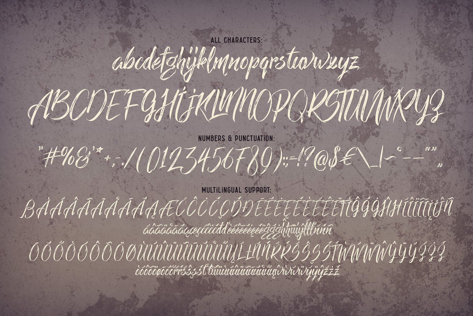 Limber Script and Mockups — image 7