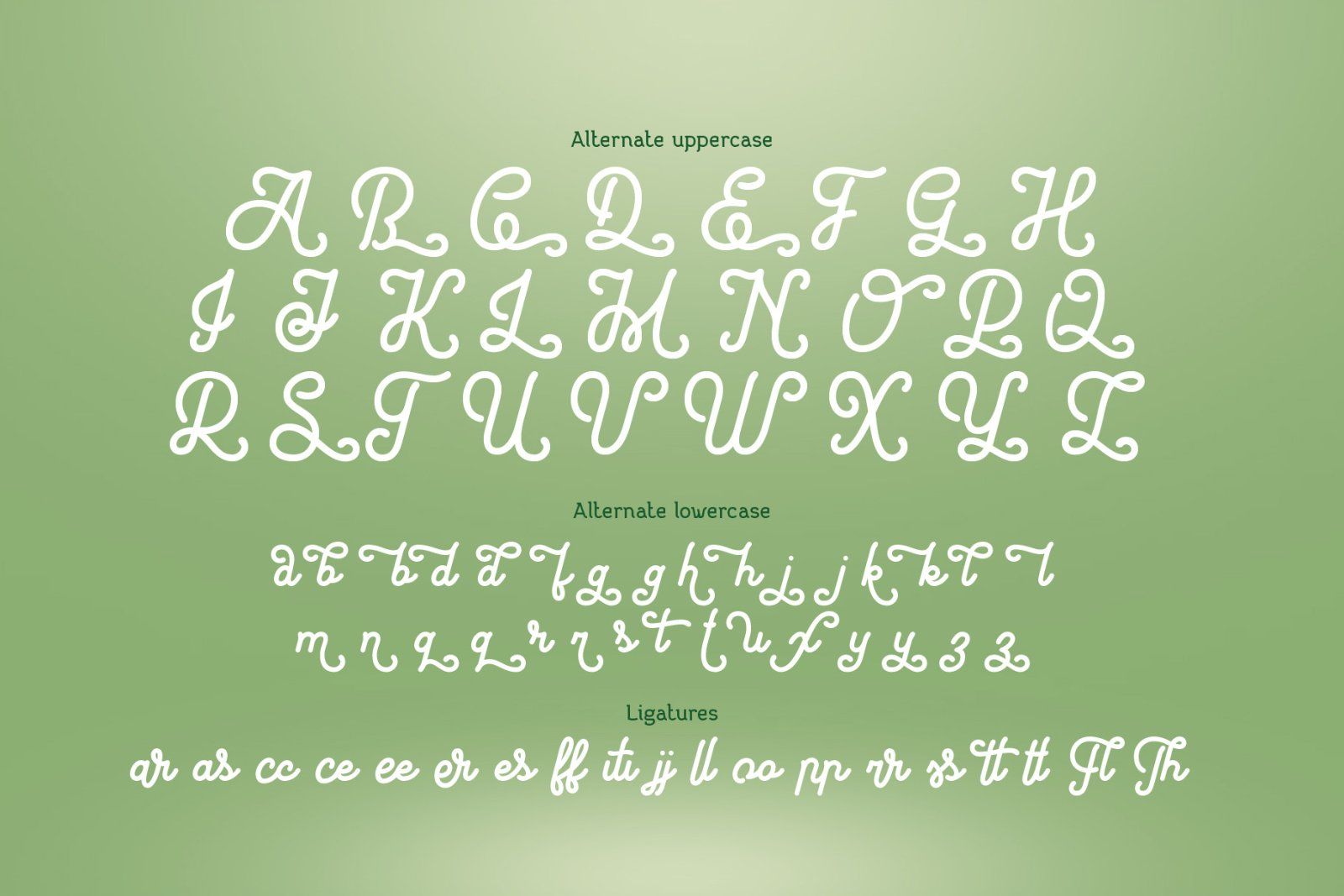 Harietta Font & Graphics — image 8
