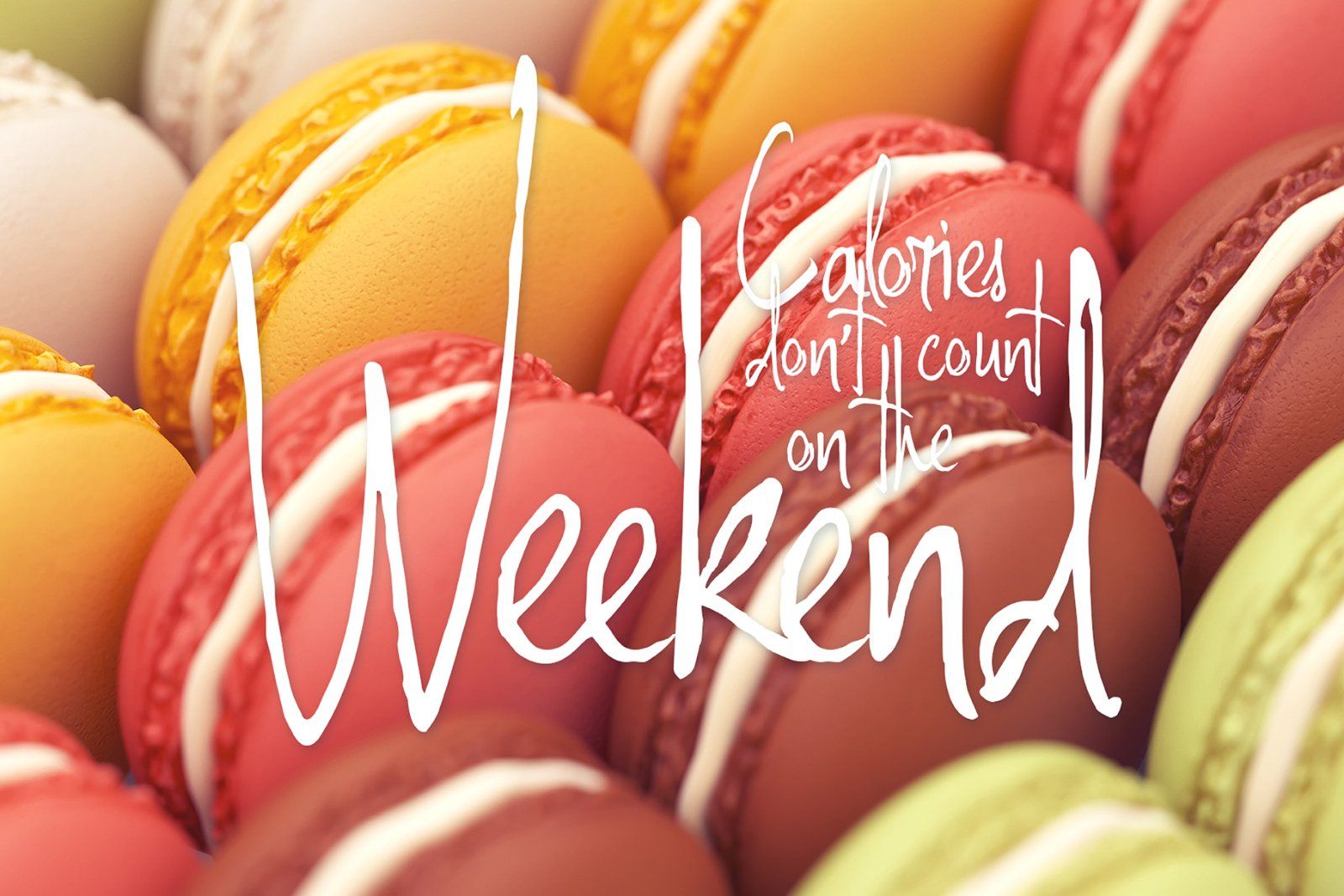 Sweettooth Script and Bonus — image 2